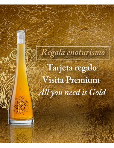 Gift Card  Visita Premium  All You Need Is Gold